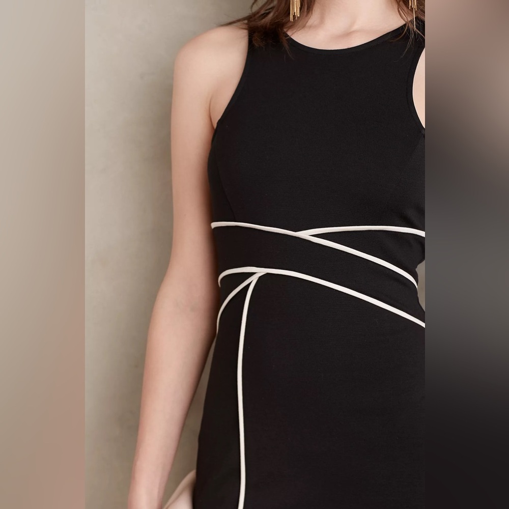 Maeve by Anthropologie ‘Cavatina’ Sheath Dress size 4 - Picture 10 of 10
